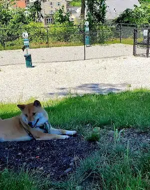 Webster Dog Park - Webster, MA