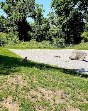 Webster Dog Park - Webster, MA