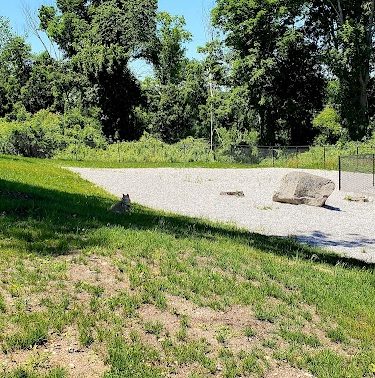 Webster Dog Park