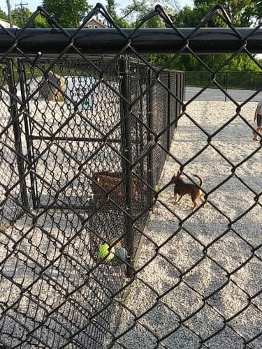 Webster Dog Park
