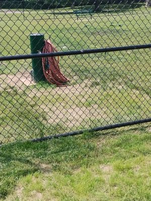 Webster Dog Park