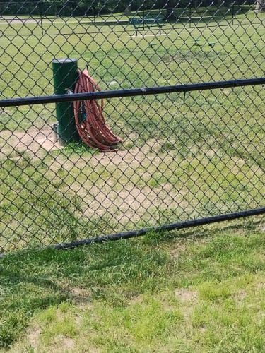 Webster Dog Park