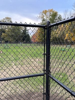 Webster Dog Park