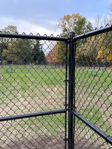 Webster Dog Park