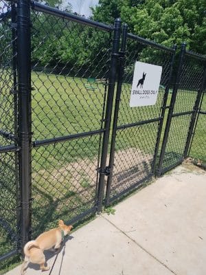 Webster Dog Park