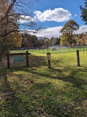 Webster Dog Park