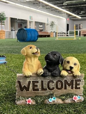 Woofs Canine Club & Indoor Dog Park