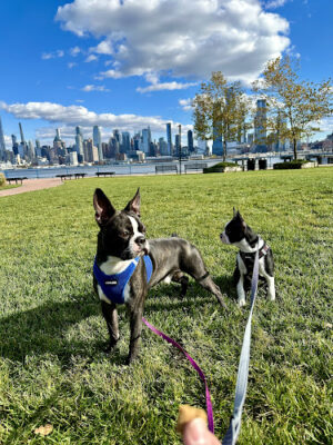Lincoln Harbor Park