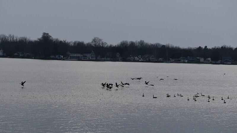 Coldwater Lake Family Park - Weidman,