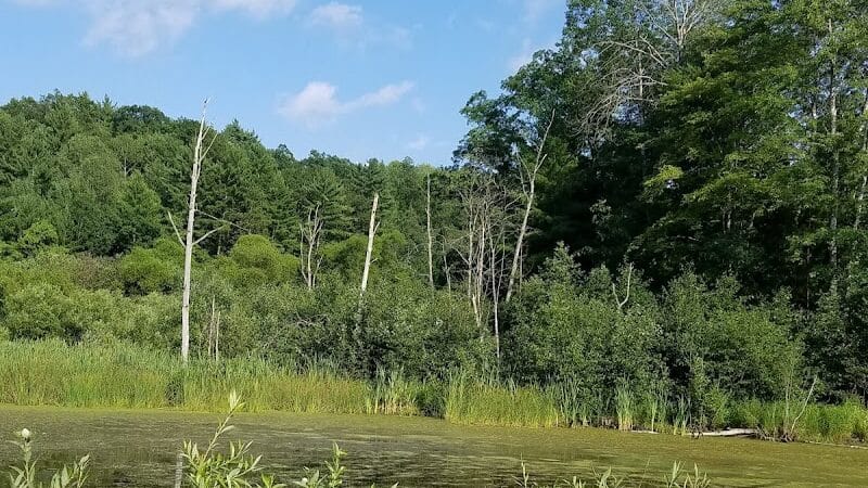 Low Bridge Park and River Access - Wellston,