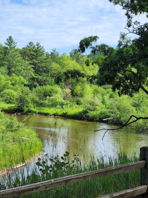 Low Bridge Park and River Access