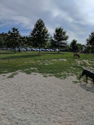 Broemmelsiek Dog Park