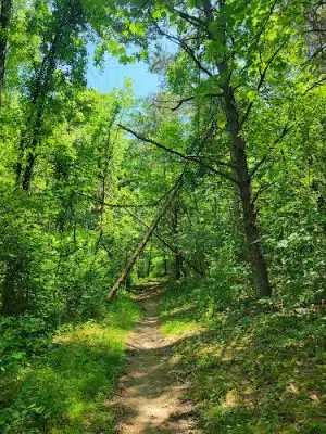 Blue Marsh Lake Holls Trail Head
