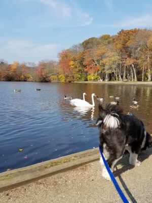 Belmont Lake State Park