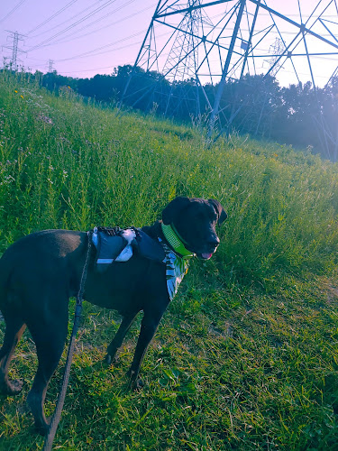 West Bloomfield Woods Nature Preserve