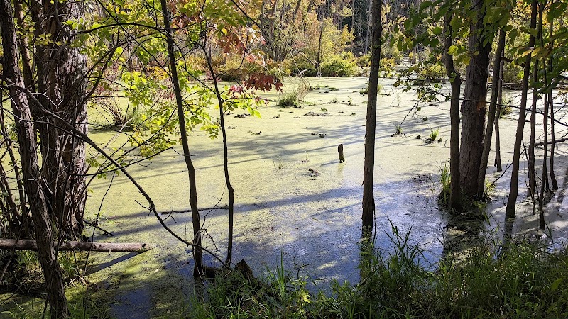 West Bloomfield Woods Nature Preserve - West Bloomfield Township,