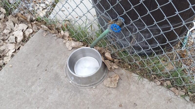 Dog Park - West Branch,