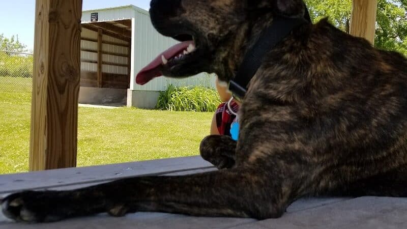 Dog Park - West Branch,