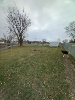 Dog Park