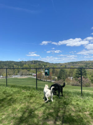 Brattleboro Dog Park