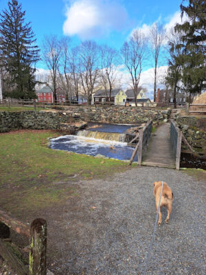 War Memorial Park