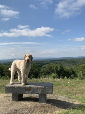 Mohawk Mountain State Park