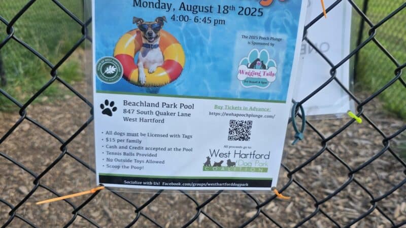 West Hartford Dog Park - West Hartford, CT