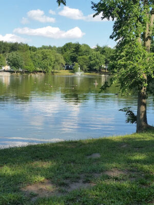 Degnan Park