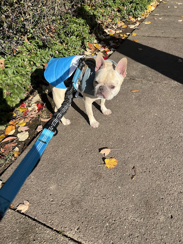 Dogtopia of West Orange