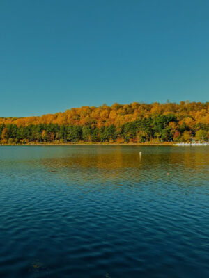 Essex County Park