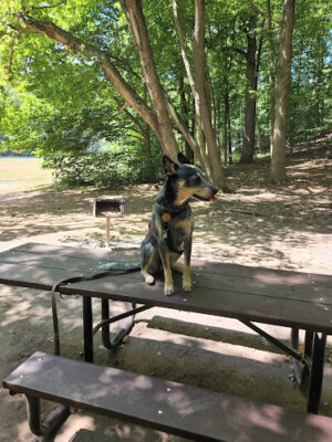 South Mountain Reservation