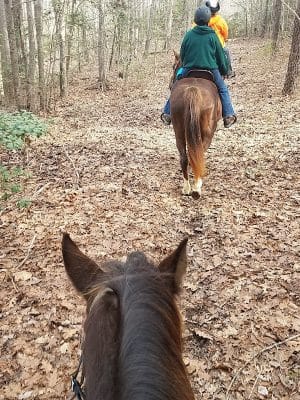 Sandy Point State Forest - West Point, VA