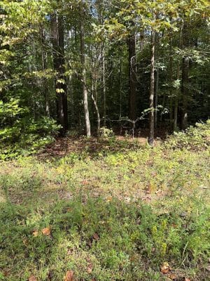 Sandy Point State Forest - West Point, VA