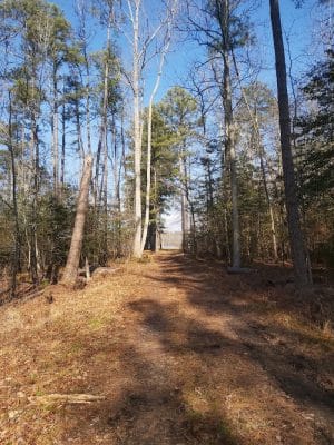 Sandy Point State Forest - West Point, VA