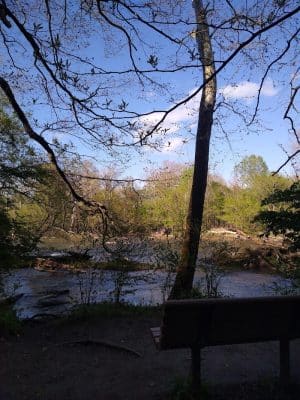 Sandy Point State Forest - West Point, VA