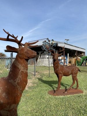 Dog Park - West, TX