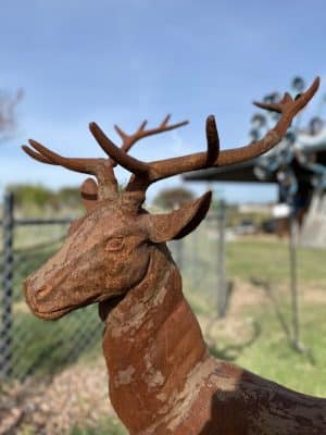 Dog Park - West, TX