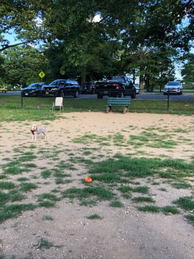 Eisenhower Dog Park - Westbury,