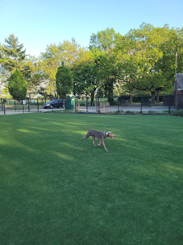 Eisenhower Dog Park