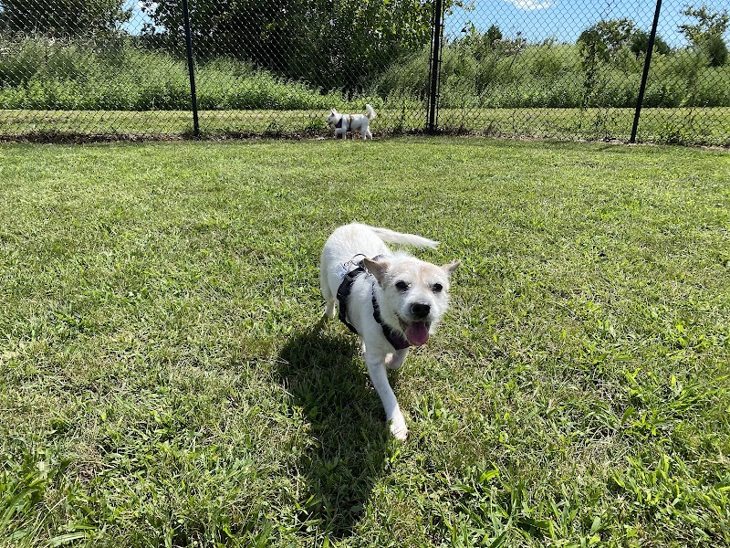 Westerly Dog Park - Westerly, RI