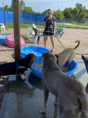 Westerly Dog Park
