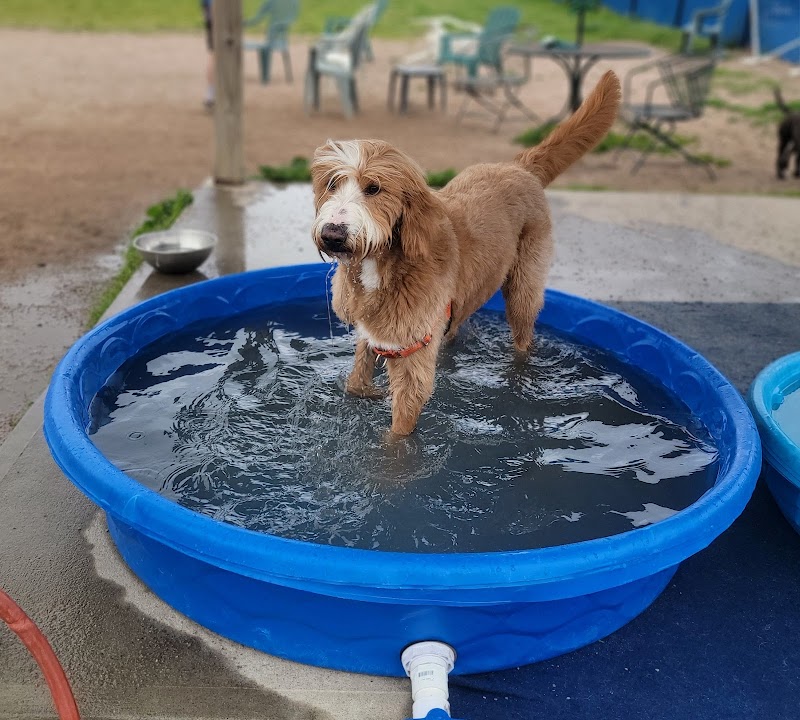 Westerly Dog Park - Westerly, RI