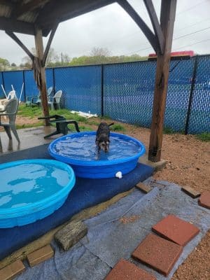 Westerly Dog Park