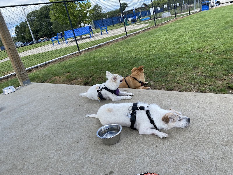 Westerly Dog Park - Westerly, RI