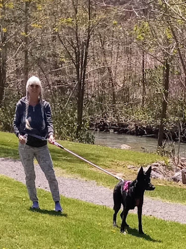 Creekside Park