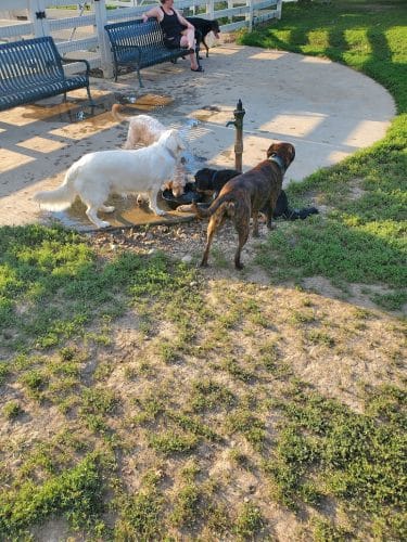 Brooksedge Park Bark Park