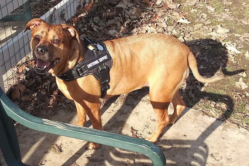 Brooksedge Park Bark Park - Westerville, OH