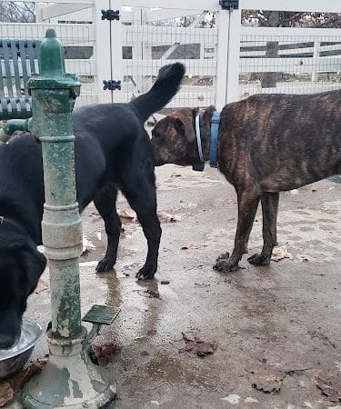 Brooksedge Park Bark Park