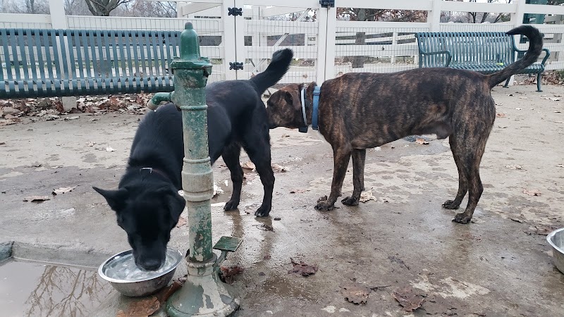 Brooksedge Park Bark Park - Westerville, OH