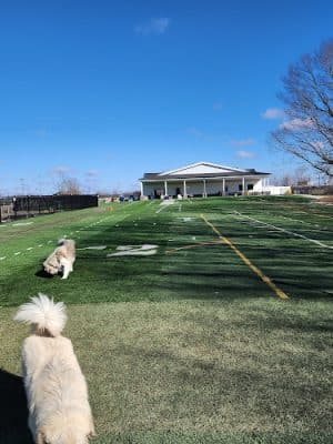 Crate Escapes Dog Park + Bar